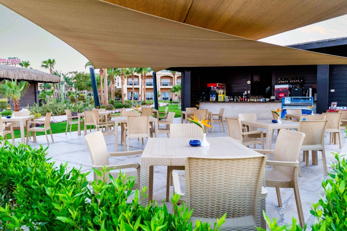 terrasse.png