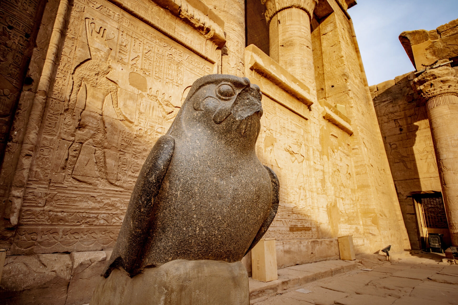 Horus_at_the_temple_of_Edfu__AdobeStock_243678776.jpeg