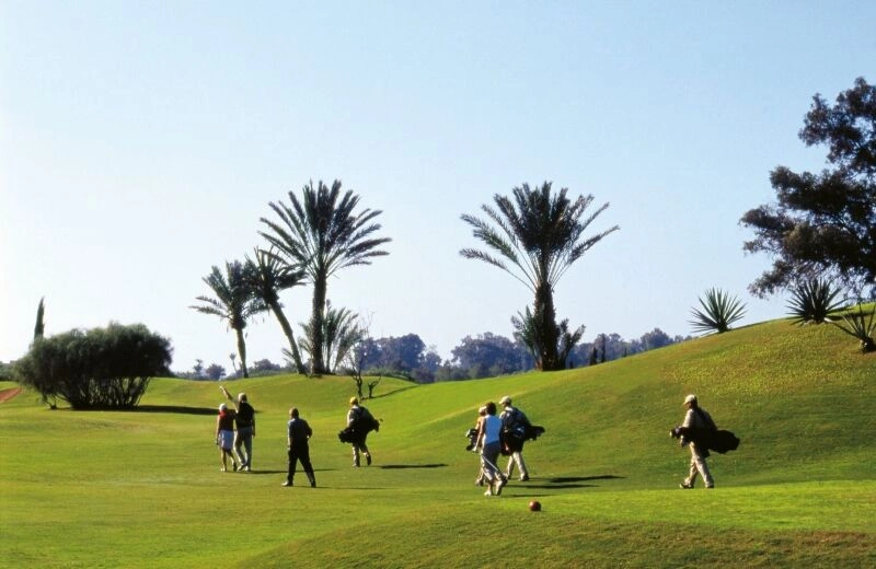 TBE_04_012_-_Golf_(800x520).jpg