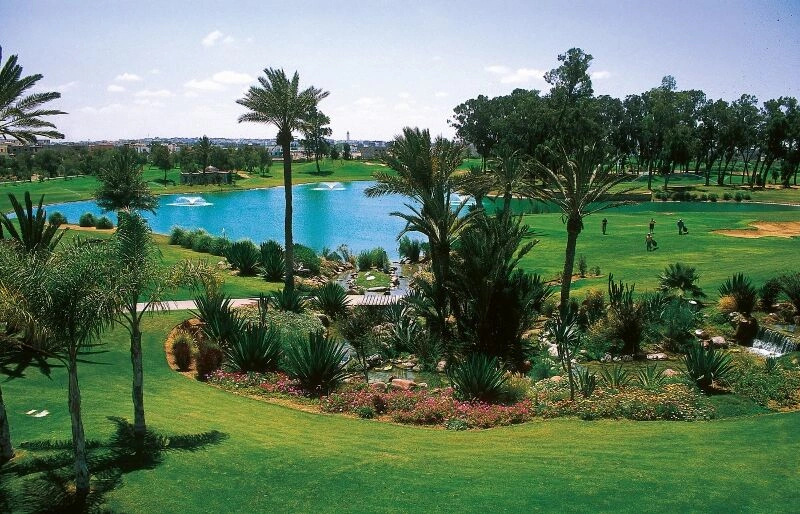 TBE_04_008_-_Golf_(800x514).jpg
