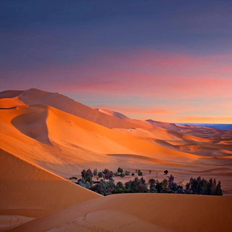 Circuit Coralia Le Sud Marocain en 4x4 & Extension Club Coralia Marrakech 4*