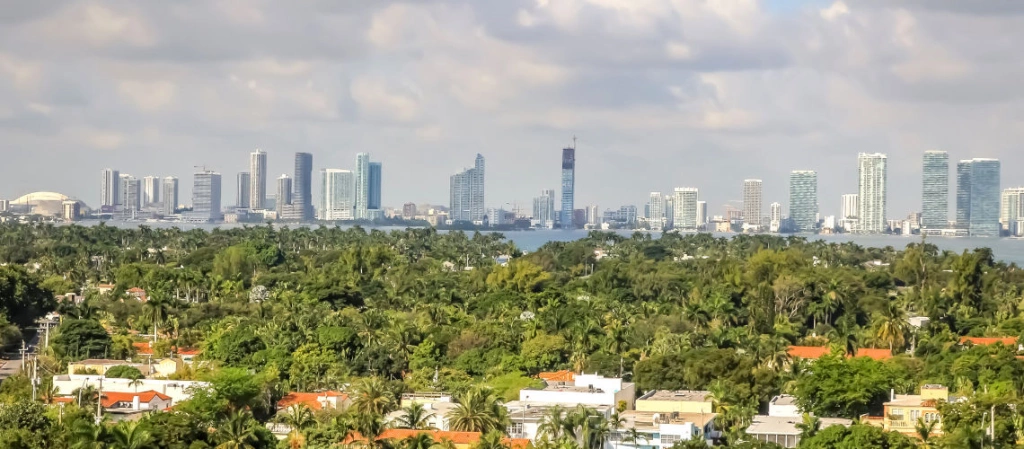 11_city_view.jpeg