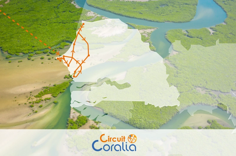 Circuit Coralia Au coeur du Sénégal