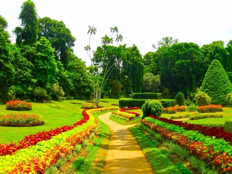 Circuit Coralia Les Incontournables du Sri Lanka et Extension Citrus Waskaduwa 5* - Limité à 30 pers.