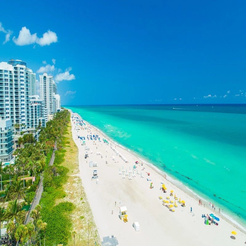 FLORIDE_2.jpeg