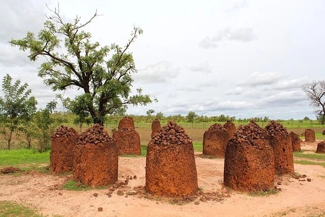 wassu-stone-circle-2302942_640.jpg