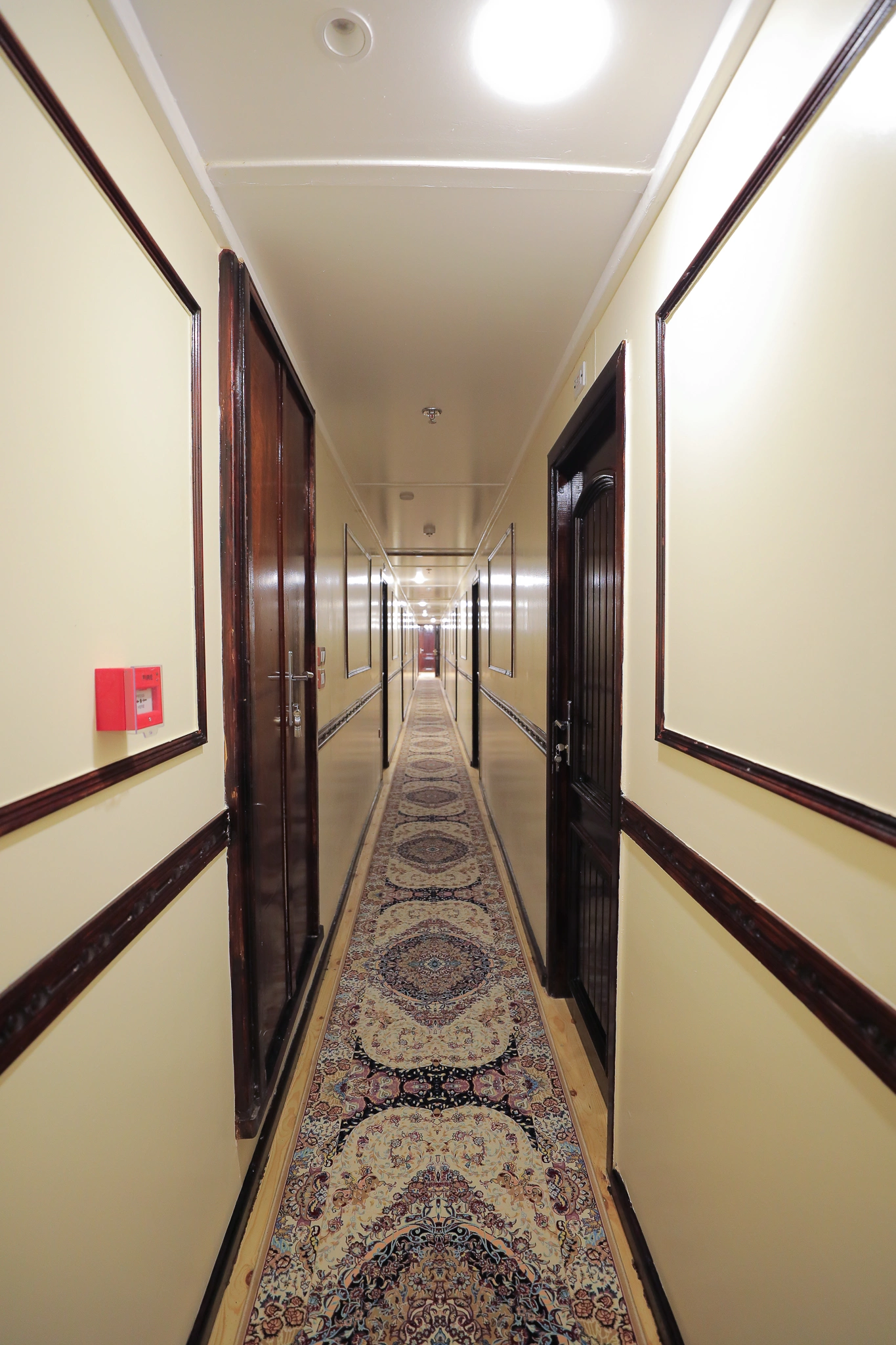 5w0a8973.jpg