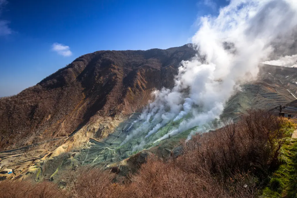 AdobeStock_127704156.jpeg