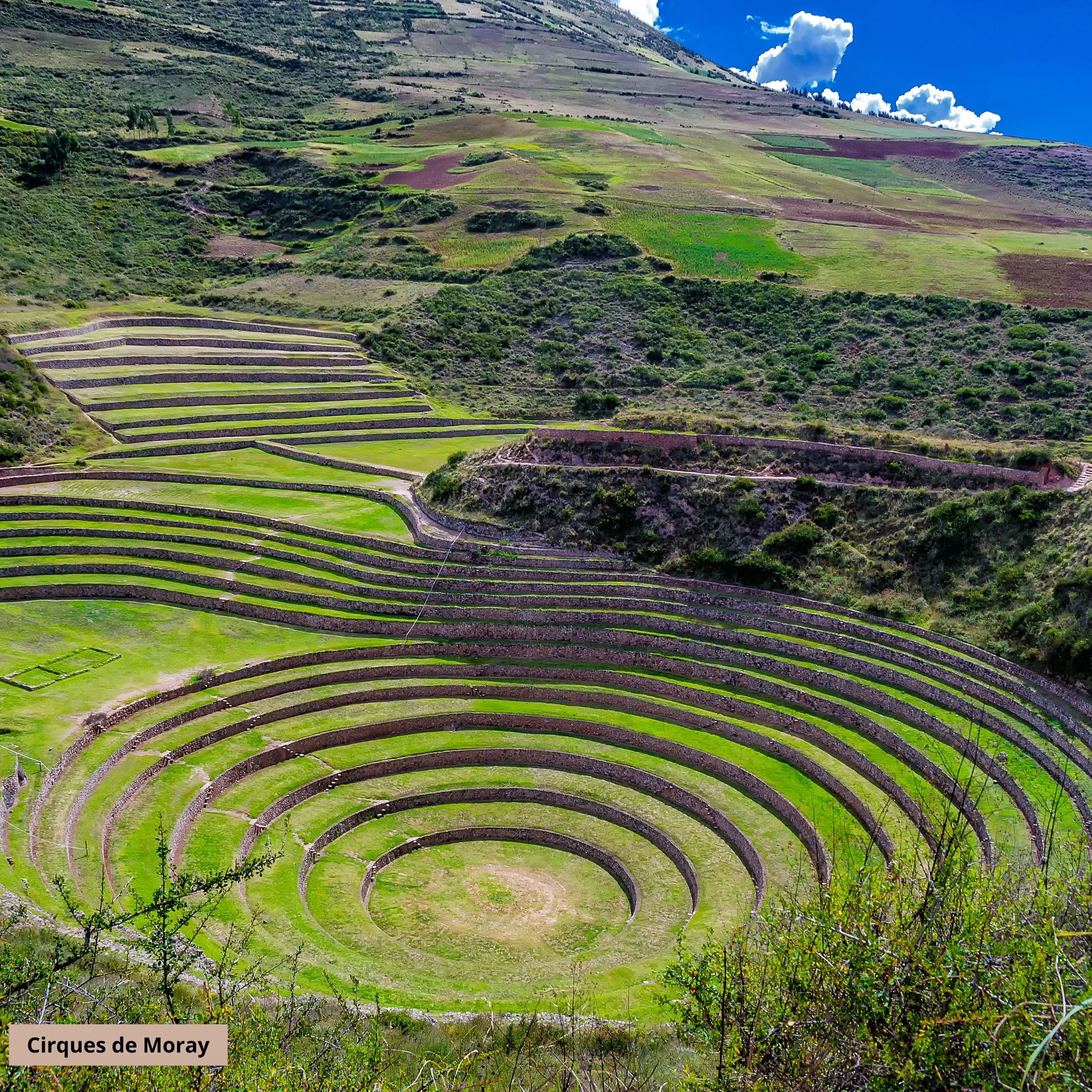 moray.jpg