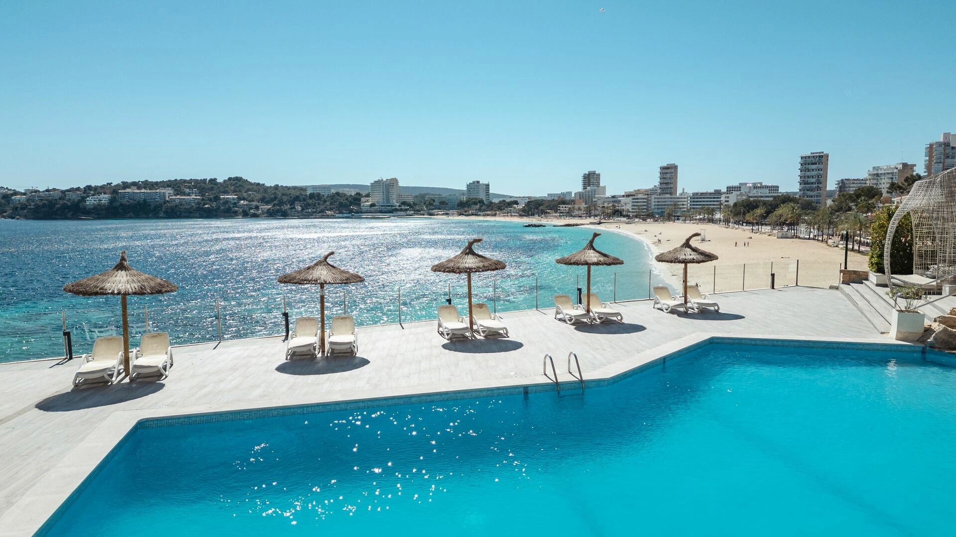 Coral-Piscina_2.jpg