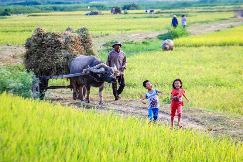 Travaux_agricoles_-_enfants_heureux.jpg
