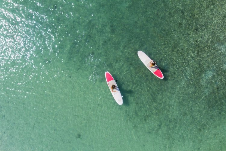 Stand_up_paddle_board.jpg