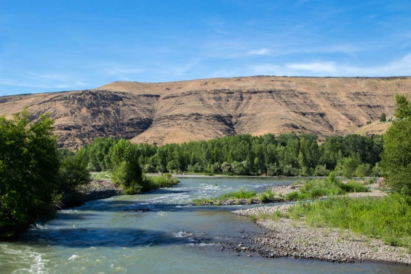 vue_766459_pgbighd.jpg