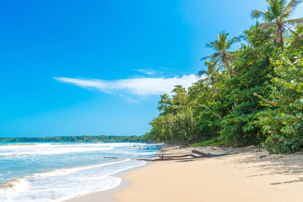 Circuit Des Caraïbes au Pacifique