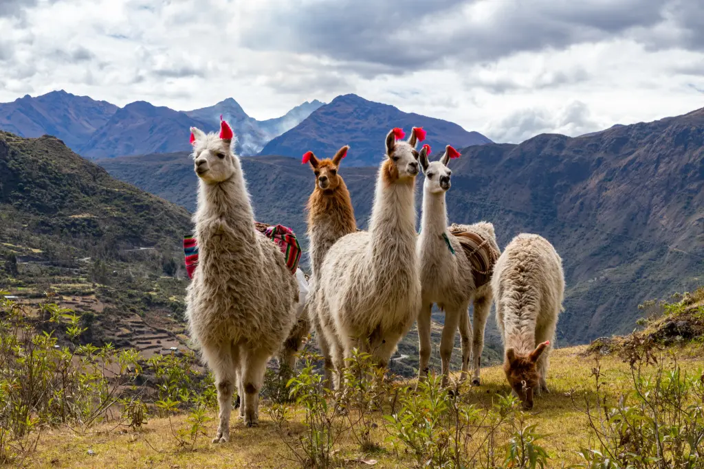 AdobeStock_305533335.jpeg