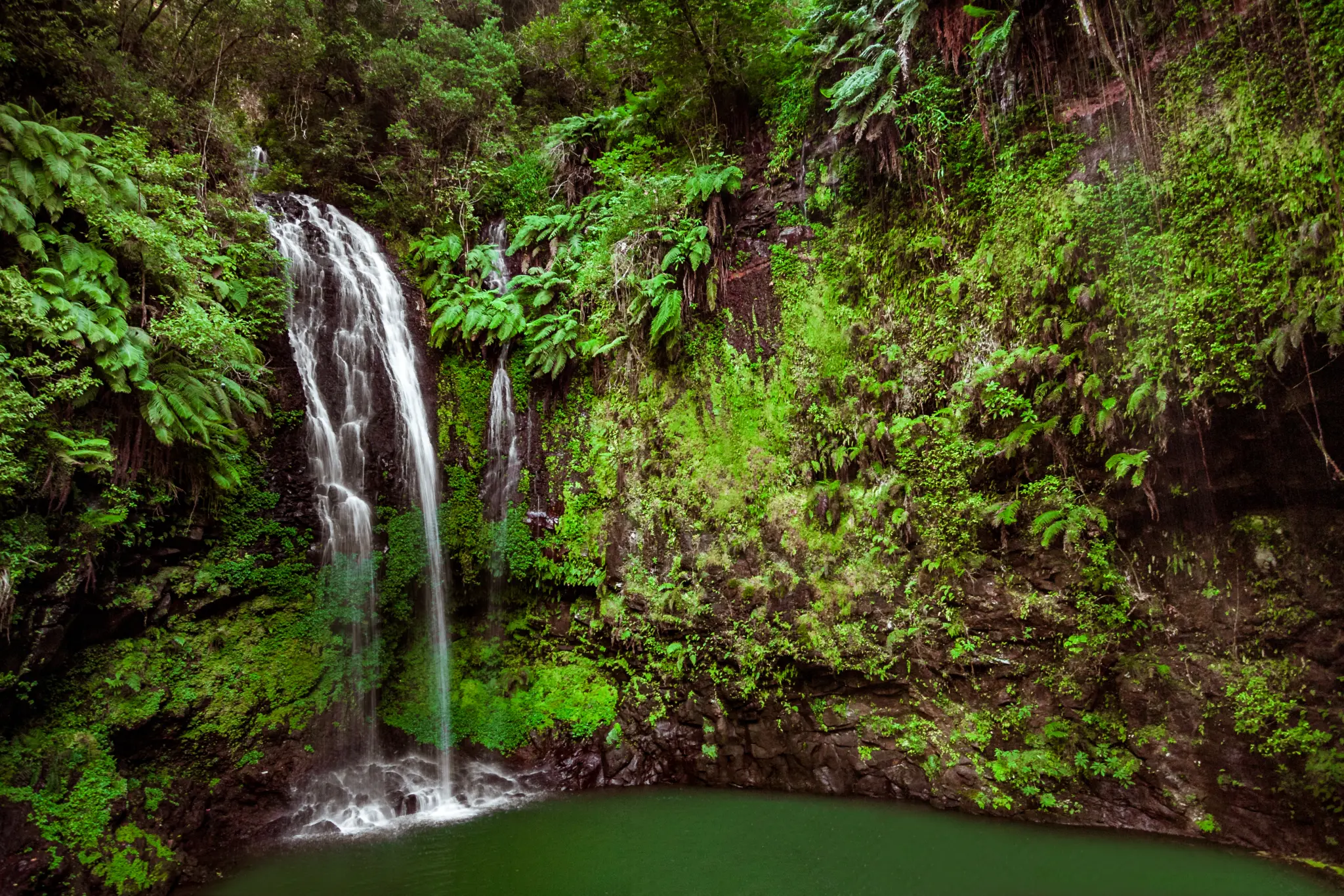 AdobeStock_163475645.jpeg
