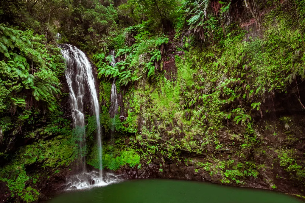 AdobeStock_163475645.jpeg