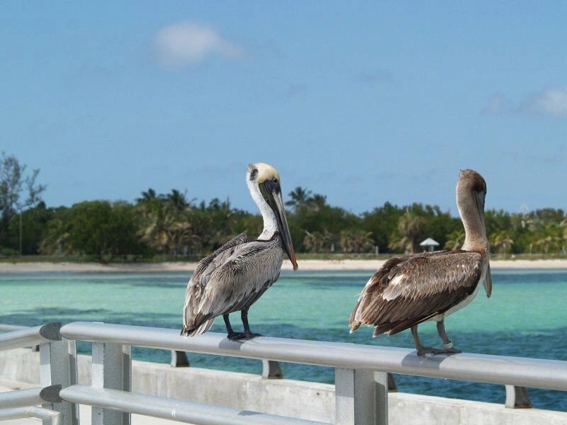 MIAMI_KEY_WEST.jpg