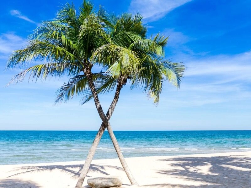 BAHAMAS_..jpg