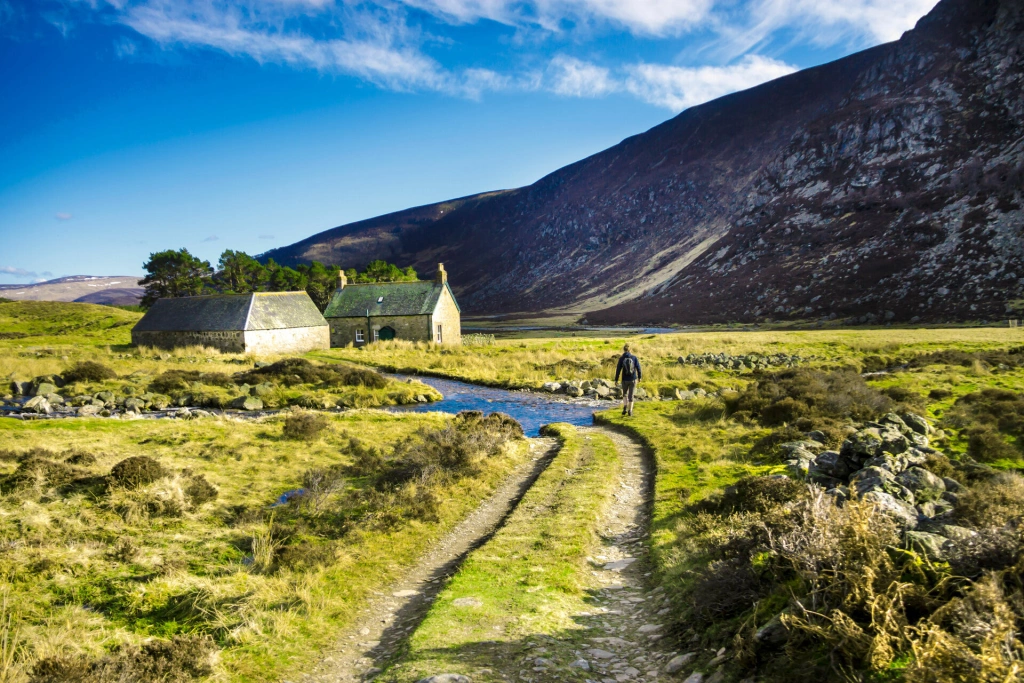 Cairngorm__AdobeStock_275702019.jpeg