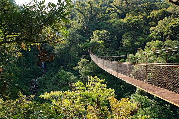 vue_850248_pgbighd.jpg