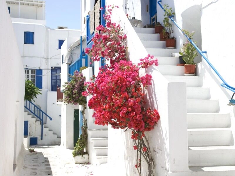 Circuit Privé, Mykonos et Santorin 3*