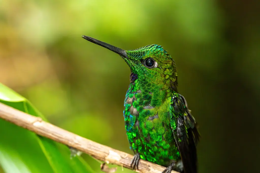 AdobeStock_1612824125.jpeg