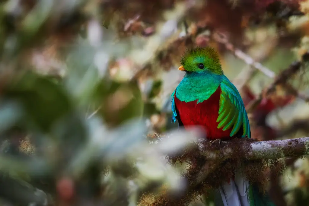AdobeStock_188970356.jpeg