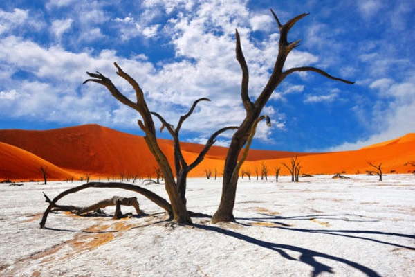 Autotour La Namibie Sauvage ****