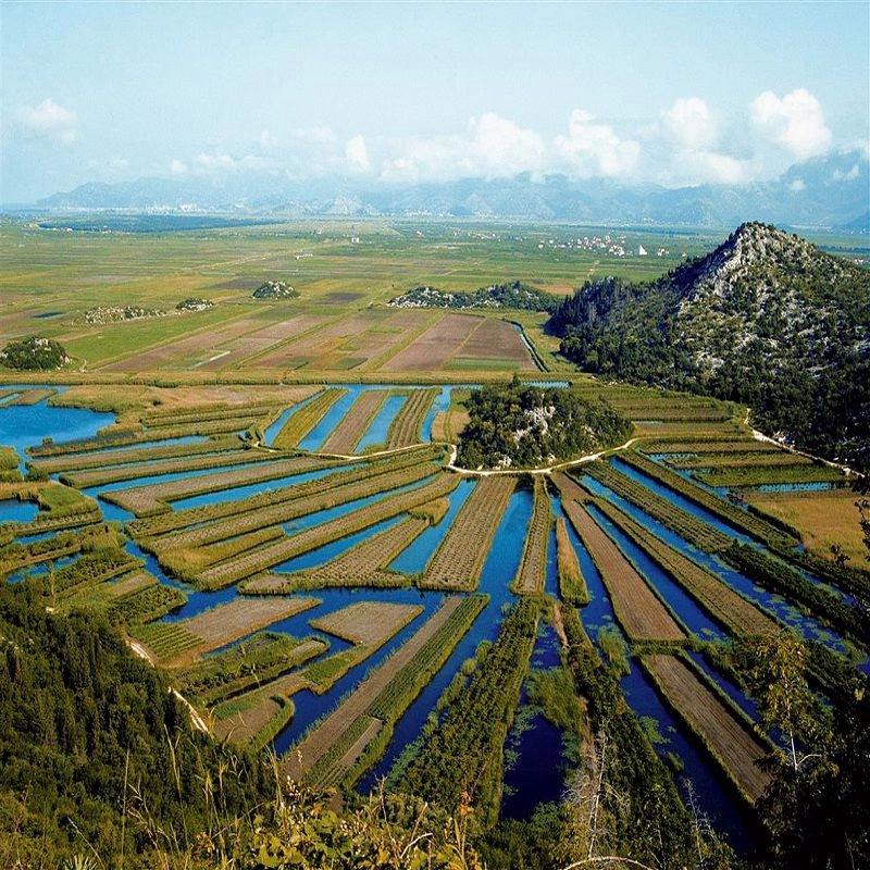 Neretva.jpeg