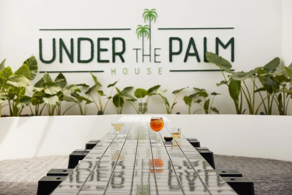 07_Under_The_Palm_House.jpg