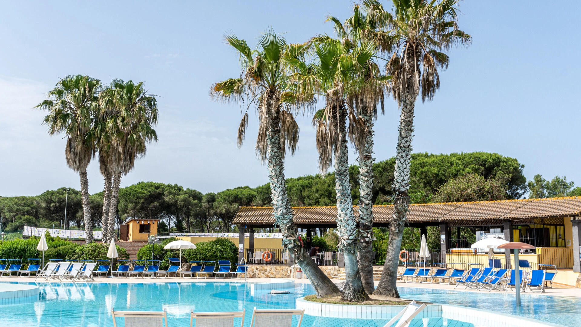 Main_Swimming_Pool_10.jpg