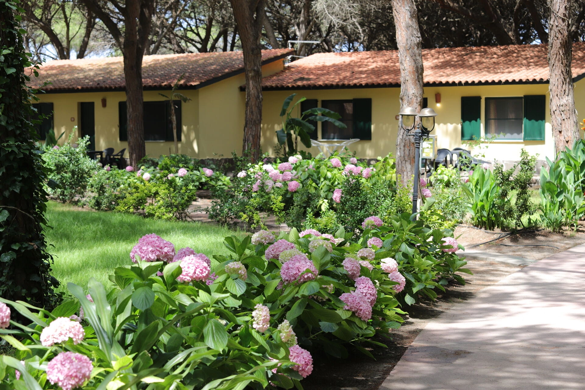 GARDENS_IN_PINK_.JPG
