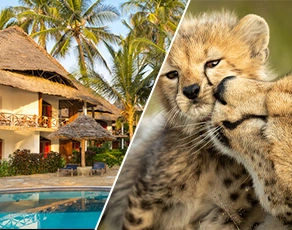0_photo_principale_safaris_ngorongo_tangire_kappa_club_waridi_beach_resort.jpg