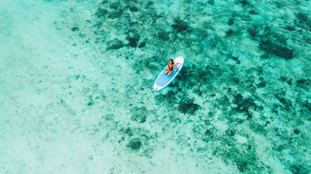 PADDLE.jpeg