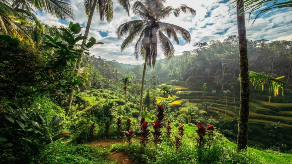 Circuit en Liberté Duo Cendana Resort Ubud & Respati Hôtel Sanur - 12 nuits