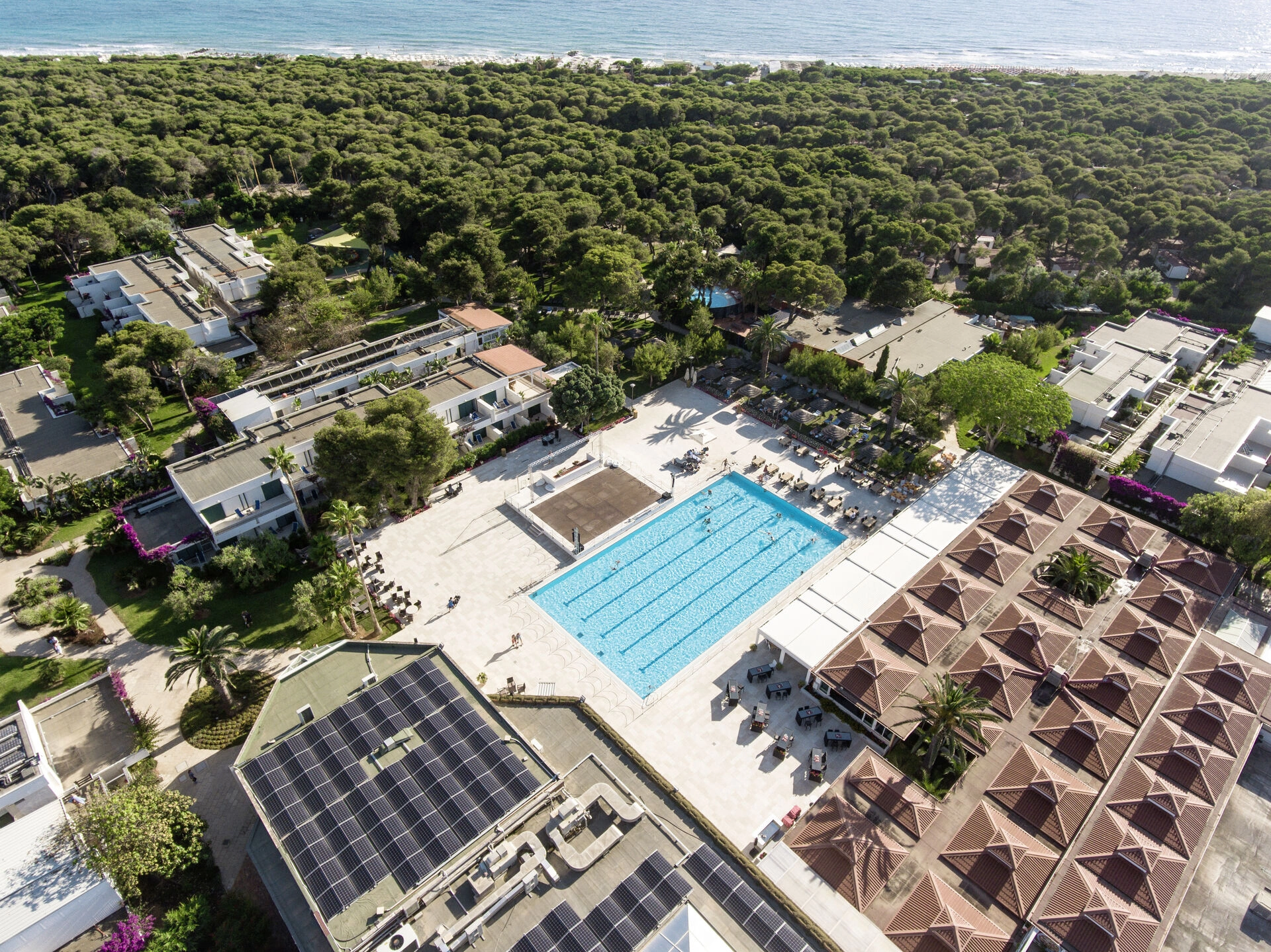 al98_12583_Aerial_WOL.jpg