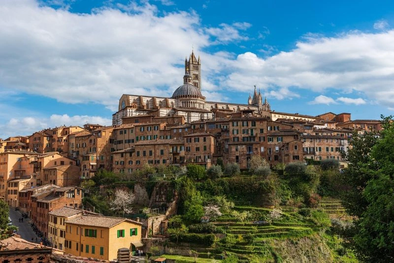 SIENA_1.jpg