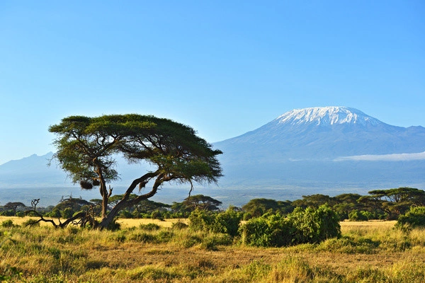 Combiné circuit et hôtel Visiwa Beach Resort 5* avec 3 nuits Tsavo Est/Ouest et Amboséli