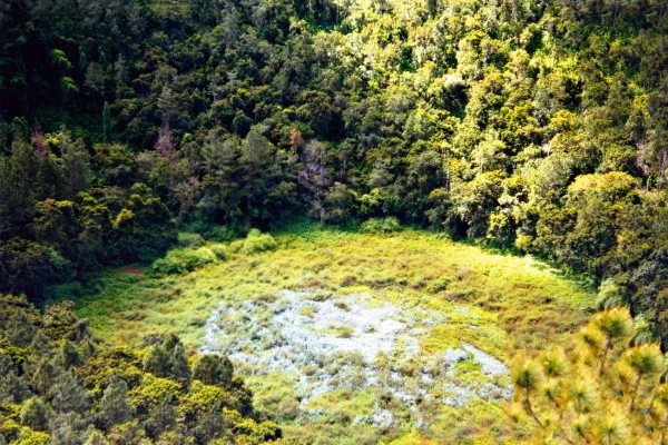 vue_594824_pgbighd.jpg