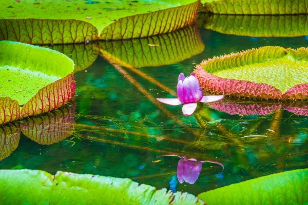 vue_600657_pgbighd.jpg