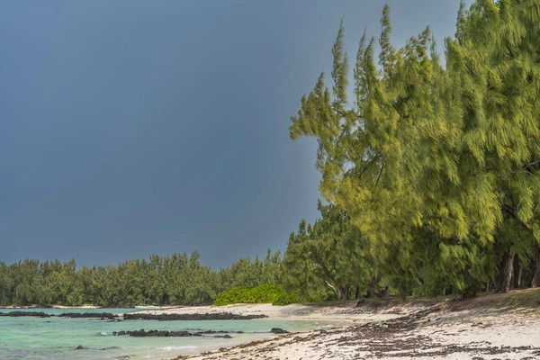 vue_885314_pgbighd.jpg