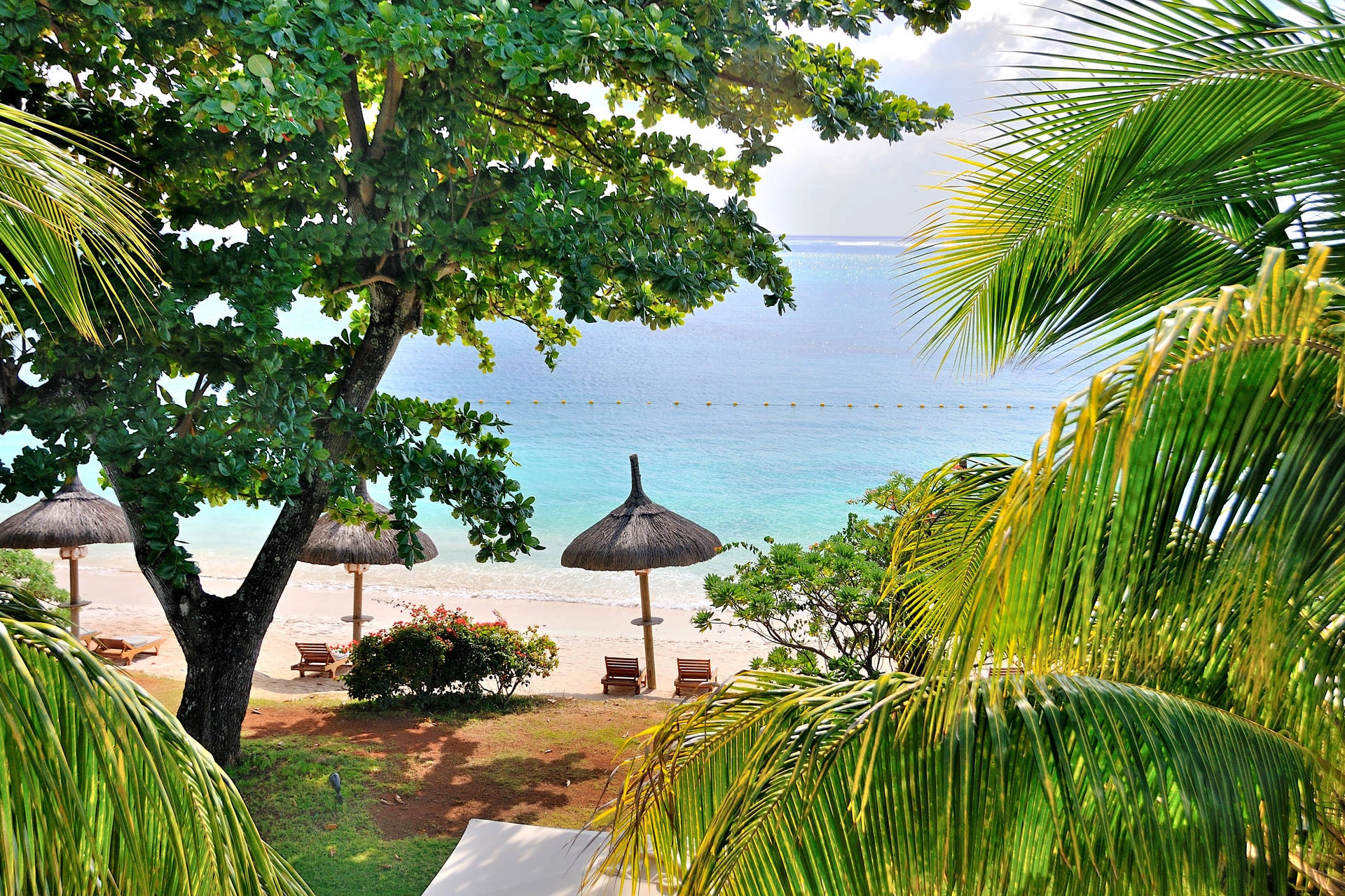 vue_894350_fullhd.jpg