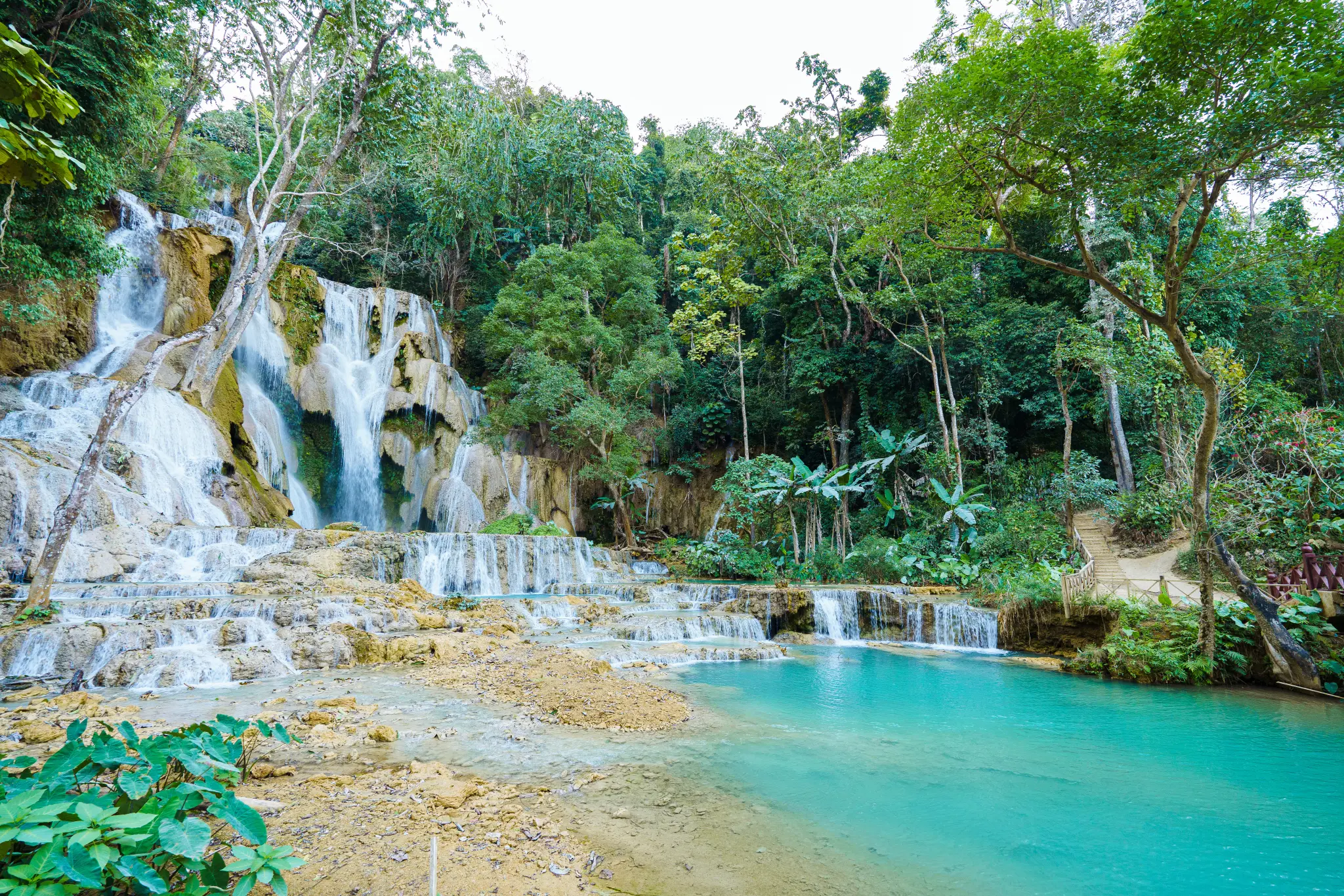 AdobeStock_1296262502.jpeg