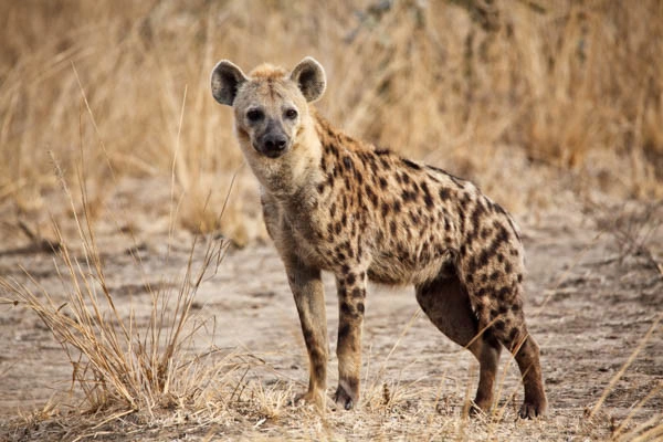 vue_781381_pgbighd.jpg