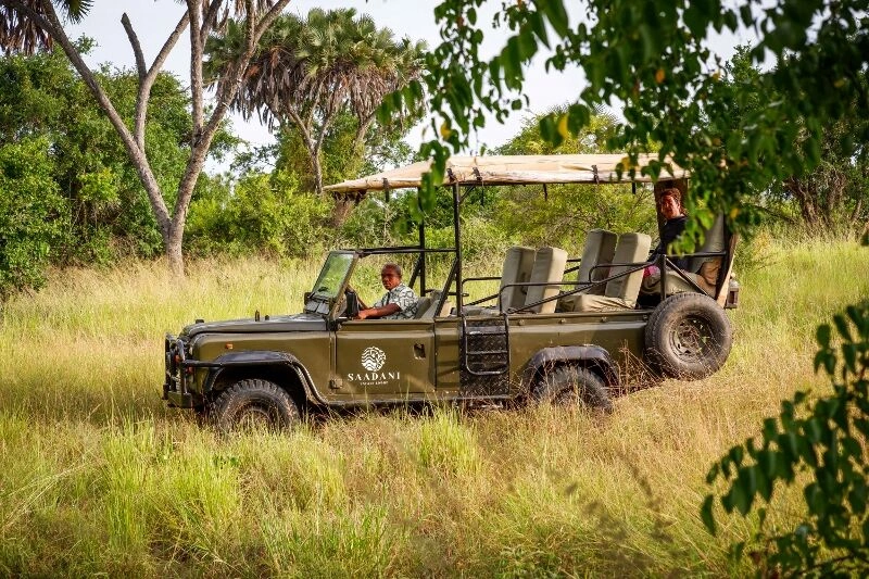 Game_Drive_99.jpg