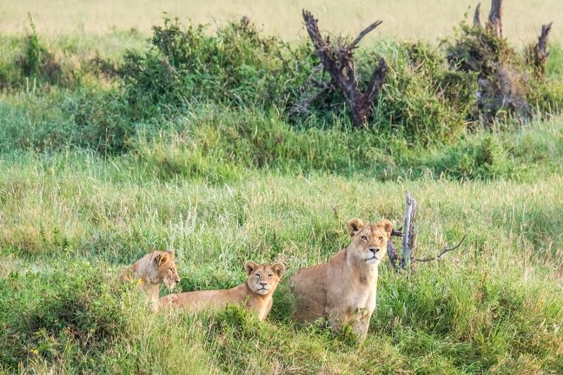 DSCF9534.jpg