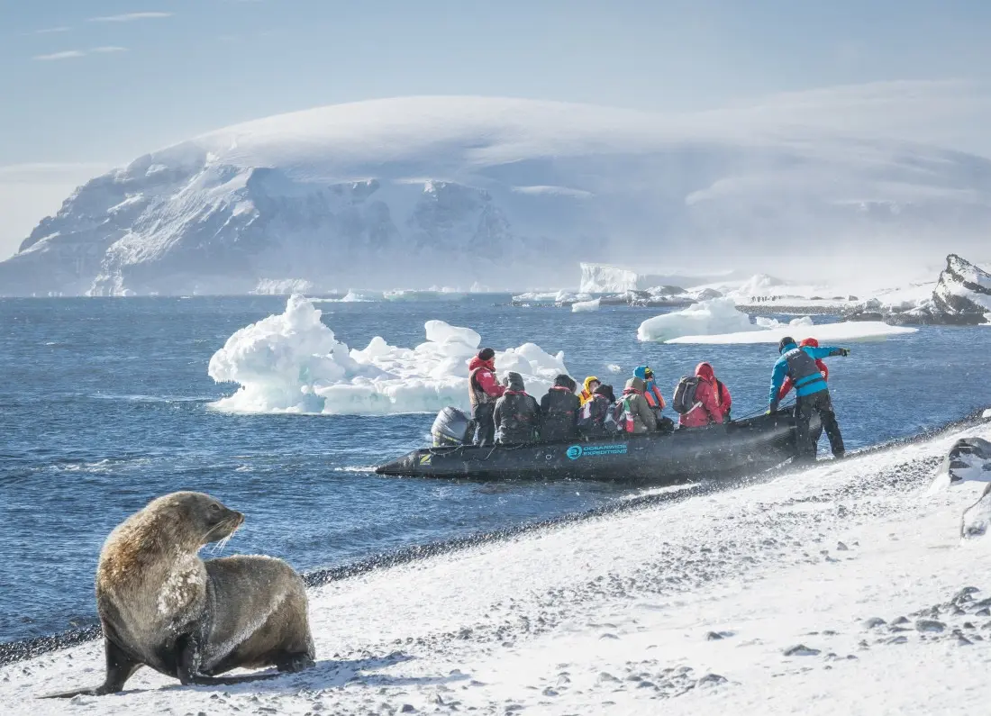 1e10dc8a21273d3eb0f17e4a3721990758cdf8f0.jpeg