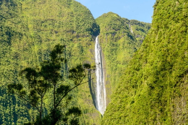 vue_594846_pgbighd.jpg