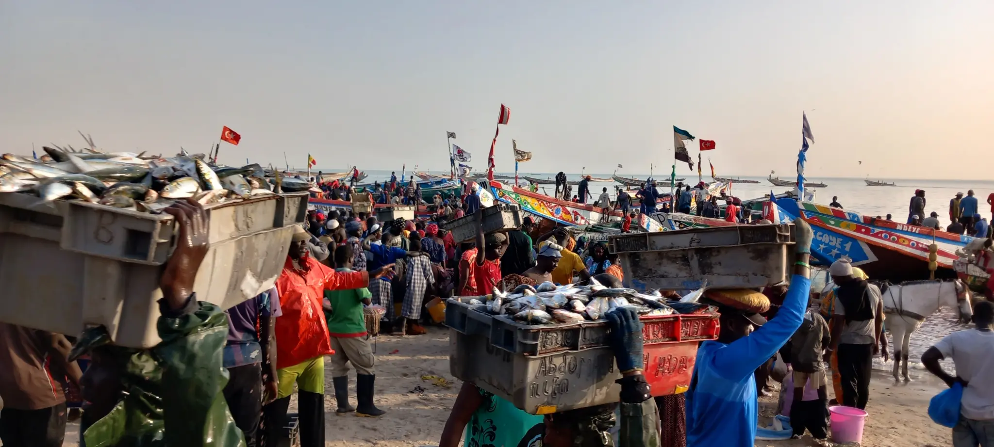 port de pêche.jpg